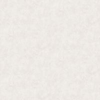 Обои Bernardo Bartalucci Bigi Флизелин (1,06*10) Серый, Штукатурка арт-5067-27 — фото 1, Обои для стен