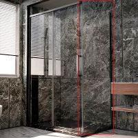 Душевая стенка Veconi Premium Trento PTD-40GR 100 SP40-GR-100-01-C4 профиль Брашированный графит стекло прозрачное — фото 1, Боковые стенки