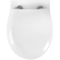 Комплект унитаза с инсталляцией Aquatek с сиденьем Микролифт и клавишей смыва Хром глянцевый арт-SET AQUATEK АЛЬТАИР cm-016 4в1 — фото 4, Комплекты унитаз + инсталляция