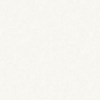 Обои Bernardo Bartalucci Bigi 5067-2 Флизелин (1,06*10) Бежевый, Штукатурка — фото 1, Обои для стен