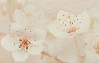 Керамический декор Шахтинская плитка (Unitile) Сакура коричневый 03 25х40 см — фото 1, Керамическая плитка