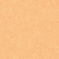 Обои Caselio Beton 2 101483250 Винил на флизелине (0,53*10,05) Желтый/Оранжевый, Штукатурка — фото 1, Обои для стен