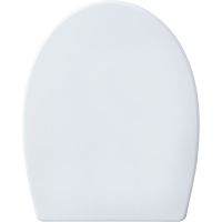 Товар: Унитаз Aquanet ZV-1 303977 подвесной с сиденьем Микролифт - фото 15 Унитаз Aquanet ZV-1 303977 подвесной с сиденьем Микролифт — фото 15, Подвесные унитазы