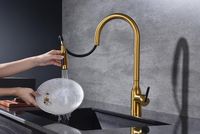 Товар: Смеситель для кухни Paulmark Universal Un213880-BG Брашированное золото - фото 7 Смеситель для кухни Paulmark Universal Un213880-BG Брашированное золото — фото 7, Смесители для кухни