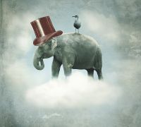 Фреска Ortograf Животные 10875 Фактура бархат FX Флизелин (3*2,7) Серый, Животные/Птицы/Абстракция — фото 2, Фрески