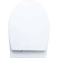 Товар: Унитаз Aquanet ZV-1 303977 подвесной с сиденьем Микролифт - фото 6 Унитаз Aquanet ZV-1 303977 подвесной с сиденьем Микролифт — фото 6, Подвесные унитазы