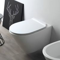 Унитаз Simas Gambassi GA18bi подвесной без сиденья — фото 2, Подвесные унитазы