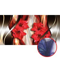 Фреска Ortograf 3D 6705 Фактура бархат серебро FX-S Флизелин (5,4*2,7) Красный/Черный, Цветы/Абстракция — фото 1, Фрески