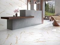 Товар: Керамогранит Laparet Venato Calacatta Gold белый сатинированный 60х60 см - фото 3 Керамогранит Laparet Venato Calacatta Gold белый сатинированный 60х60 см — фото 3, Керамогранит