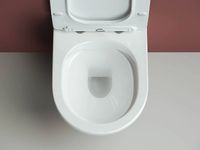 Комплект унитаза Ceramicanova Forma CN3009 с сиденьем Микролифт и инсталляцией WeltWasser WW Marberg 507 10000005949+10000005953 с клавишей смыва Хром глянцевый — фото 13, Унитазы