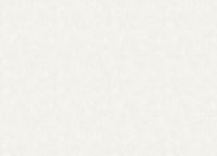 Обои Grandeco Universe 5 VR 1101 Винил на флизелине (1,06*10,05) Белый, Однотонный/Штукатурка — фото 2, Обои для стен