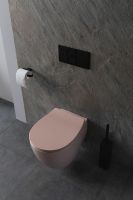 Унитаз Allen Brau Fantasy 4.11004.SM подвесной Розовый без сиденья — фото 7, Унитазы