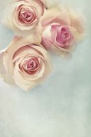 Фреска Ortograf Цветы 3908 Фактура бархат FX Флизелин (1,8*2,7) Голубой/Розовый, Цветы — фото 2, Фрески