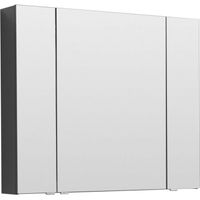 Зеркальный шкаф Aquanet Алвита 100 240113 Серый антрацит — фото 1, Зеркальные шкафы в ванную