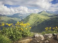 Фреска Ortograf Горы 5393 Фактура бархат FX Флизелин (3*2,2) Зеленый/Голубой/Желтый, Горы/Пейзаж/Природа — фото 2, Фрески