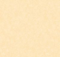 Обои LOYMINA Shade SD3 102/1 Винил на флизелине (1*10,05) Желтый, Штукатурка — фото 2, Обои для стен