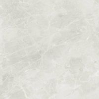 Керамогранит Dako Liberty Светло-серый Рект E-3014/MR/600x600x9 60х60 см — фото 6, Керамогранит