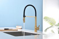 Смеситель для кухни Paulmark Halt Ha214021-BG Брашированное золото — фото 6, Смесители для кухни