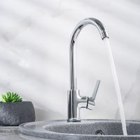 Смеситель для кухни Ростовская Мануфактура Сантехники SL130-017F Хром — фото 4, Смесители