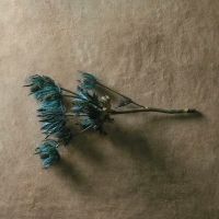 Керамогранит Refin Affrescati Terra OH05 60х120 см — фото 2, Керамогранит