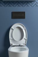 Товар: Унитаз Aquanet ZV-1 303977 подвесной с сиденьем Микролифт - фото 29 Унитаз Aquanet ZV-1 303977 подвесной с сиденьем Микролифт — фото 29, Подвесные унитазы