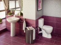 Товар: Унитаз компакт Rosa Лира 4620008191096 Белый с бачком и сиденьем - фото 2 Унитаз компакт Rosa Лира 4620008191096 Белый с бачком и сиденьем — фото 2, Напольные унитазы