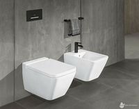 Клавиша смыва Villeroy&Boch ViConnect 922169AN Черная матовая — фото 3, Кнопки смыва