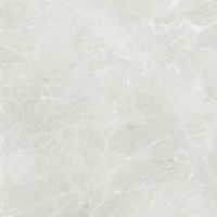 Керамогранит Dako Liberty Светло-серый Рект E-3014/MR/600x600x9 60х60 см — фото 5, Керамогранит