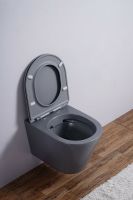 Товар: Унитаз Esbano Clavel ESUPCLAVGM подвесной Серый матовый с сиденьем Микролифт - фото 6 Унитаз Esbano Clavel ESUPCLAVGM подвесной Серый матовый с сиденьем Микролифт — фото 6, Подвесные унитазы