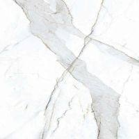 Товар: Керамогранит Primavera Dario Matt NR101 60х60 см - фото 5 Керамогранит Primavera Dario Matt NR101 60х60 см — фото 5, Керамогранит