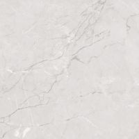 Керамогранит Primavera Miracle Silver carving CR111 60х60 см — фото 1, Керамическая плитка