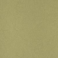 Товар: Обои Bernardo Bartalucci Legend 5068-46 Флизелин (1,06*10) Зеленый, Однотонные - фото 1 Обои Bernardo Bartalucci Legend 5068-46 Флизелин (1,06*10) Зеленый, Однотонные — фото 1, Обои для стен