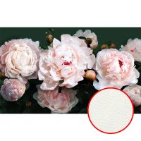 Фреска Ortograf Цветы 6661 Фактура флок FLK Флизелин (3,75*2,3) Розовый/Зеленый, Цветы — фото 1, Фрески