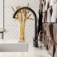 Товар: Смеситель для кухни Damixa RedBlu Neo Classic 270000000 Графит - фото 3 Смеситель для кухни Damixa RedBlu Neo Classic 270000000 Графит — фото 3, Смесители