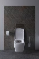 Унитаз Allen Brau Liberty 4.33004.20 подвесной Белый без сиденья — фото 17, Подвесные унитазы