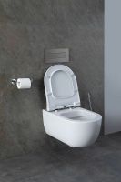 Товар: Унитаз Allen Brau Priority 4.31001.20 подвесной без сиденья - фото 29 Унитаз Allen Brau Priority 4.31001.20 подвесной без сиденья — фото 29, Подвесные унитазы