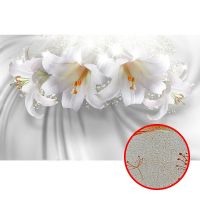 Фреска Ortograf 3D 6716 Фактура бархат золото FX-G Флизелин (4,3*2,7) Белый, Цветы — фото 1, Фрески