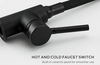 Смеситель для кухни Frap H44 F4044-6 Черный матовый — фото 4, Смесители для кухни