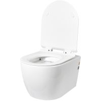 Товар: Унитаз Logan L1W 261951 подвесной с сиденьем Микролифт - фото 8 Унитаз Logan L1W 261951 подвесной с сиденьем Микролифт — фото 8, Унитазы