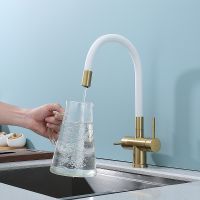 Смеситель для кухни Splenka S70.64.03 Золото матовое Белый — фото 15, Смесители для кухни