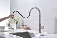 Смеситель для кухни Paulmark Galant Ga213077-BS Брашированная сталь — фото 13, Смесители для кухни