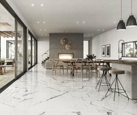 Керамогранит Fanal Iceberg 9090 Nplus 90I001 90х90 см — фото 3, Керамогранит