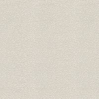 Товар: Обои Decori-Decori Mirabilia 83455 Винил на флизелине (1,06*10,05) Бежевый, Штукатурка/Однотонные - фото 1 Обои Decori-Decori Mirabilia 83455 Винил на флизелине (1,06*10,05) Бежевый, Штукатурка/Однотонные — фото 1, Обои для стен