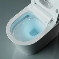 Унитаз биде Timo TE-741 с сиденьем Микролифт — фото 10, Умные унитазы