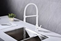 Товар: Смеситель для кухни Paulmark Halt Ha214021-431 Белый матовый - фото 12 Смеситель для кухни Paulmark Halt Ha214021-431 Белый матовый — фото 12, Смесители для кухни