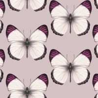 Обои Andrea Rossi Cheradi 54401-7 Винил на флизелине (1,06*10,05) Розовый, Бабочки — фото 1, Обои для стен