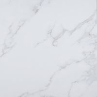 Керамогранит Bonaparte Dio carrara 60х60 см — фото 1, Керамогранит