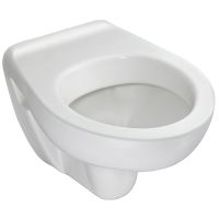 Унитаз Jacob Delafon Brive E4345G-00 подвесной без сиденья — фото 2, Подвесные унитазы