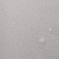 Обои Andrea Rossi Gavi 54368-2 Винил на флизелине (1,06*10) Бежевый/Белый, Листья/Цветы — фото 1, Обои для стен