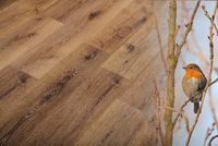 Виниловый ламинат Natura Original R-010-08 Дуб Бастонь 1524х180х5,5 мм — фото 1, Виниловый ламинат